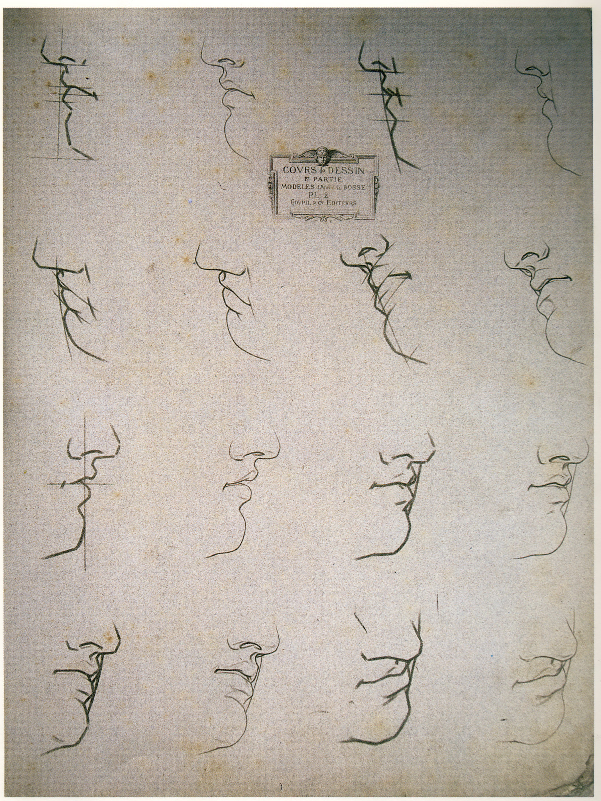 Plate I,2 - Mouths