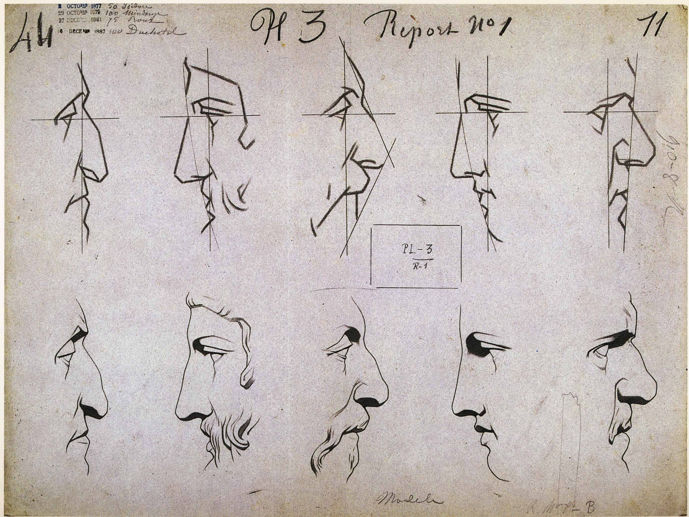 Plate I,3 - Noses