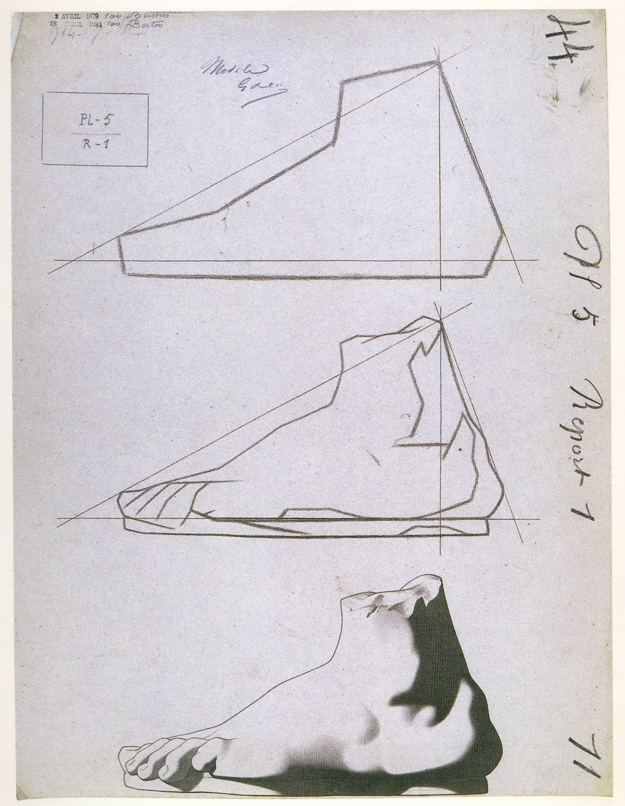 Plate I,5 - Profile of the foot