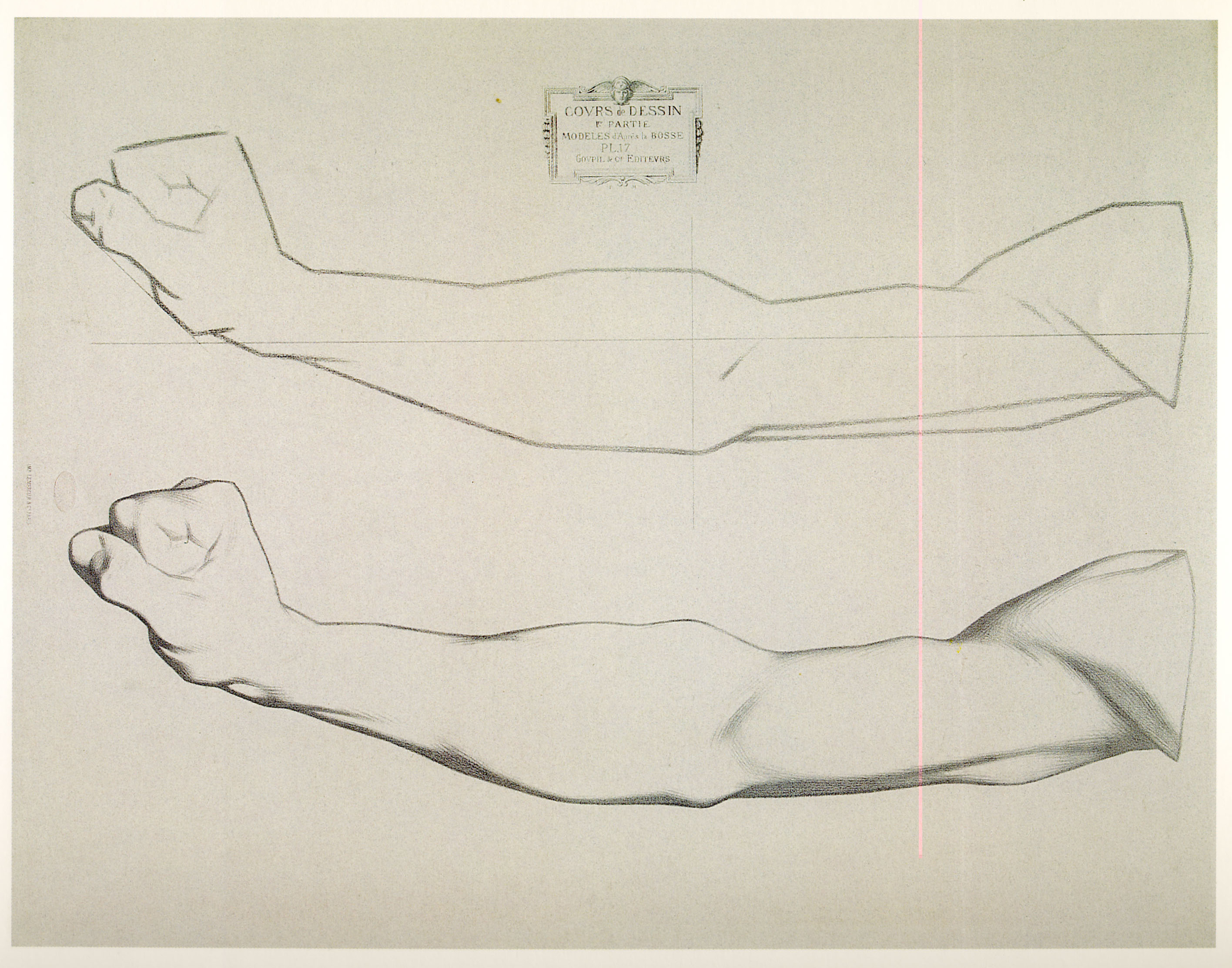 Plate I,17 - Arm of a man, horizontal position