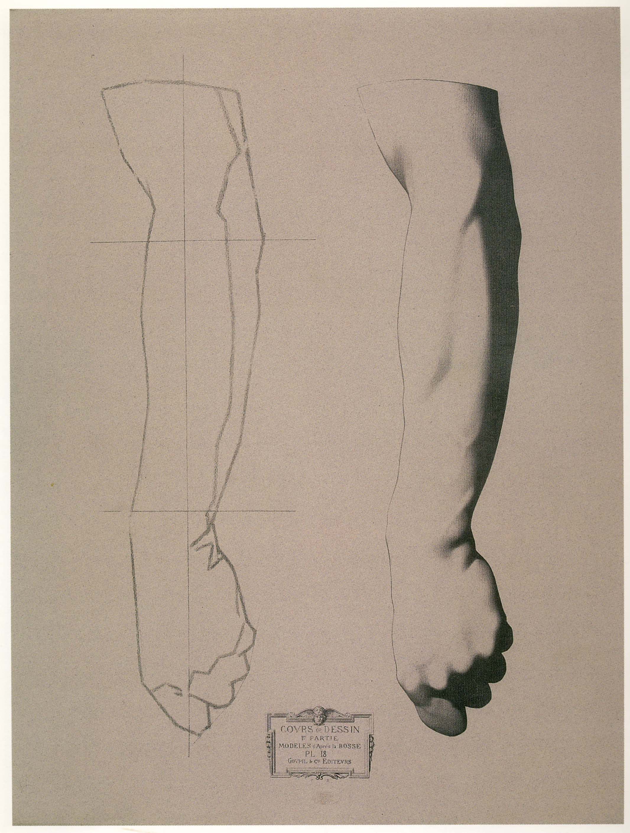 Plate I,18 - Arm of a man, vertical position