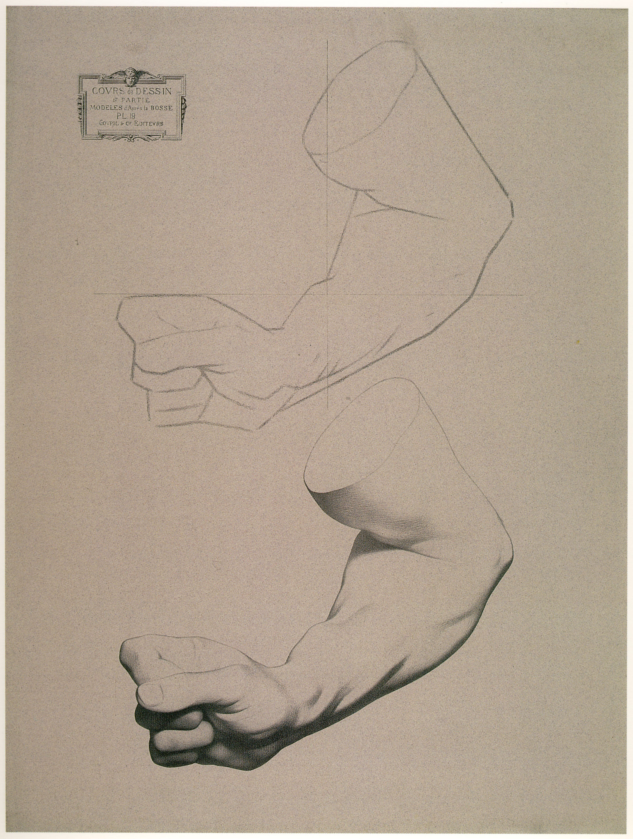 Plate I,19 - Flexed forearm of a man