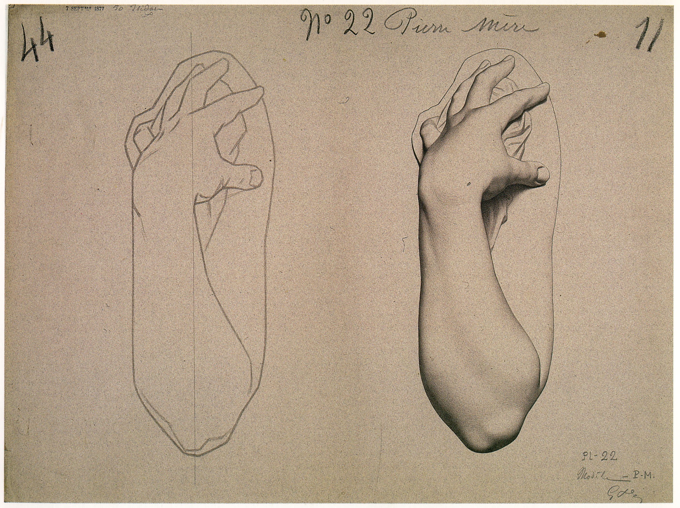 Plate I,22 - Woman's arm, bent