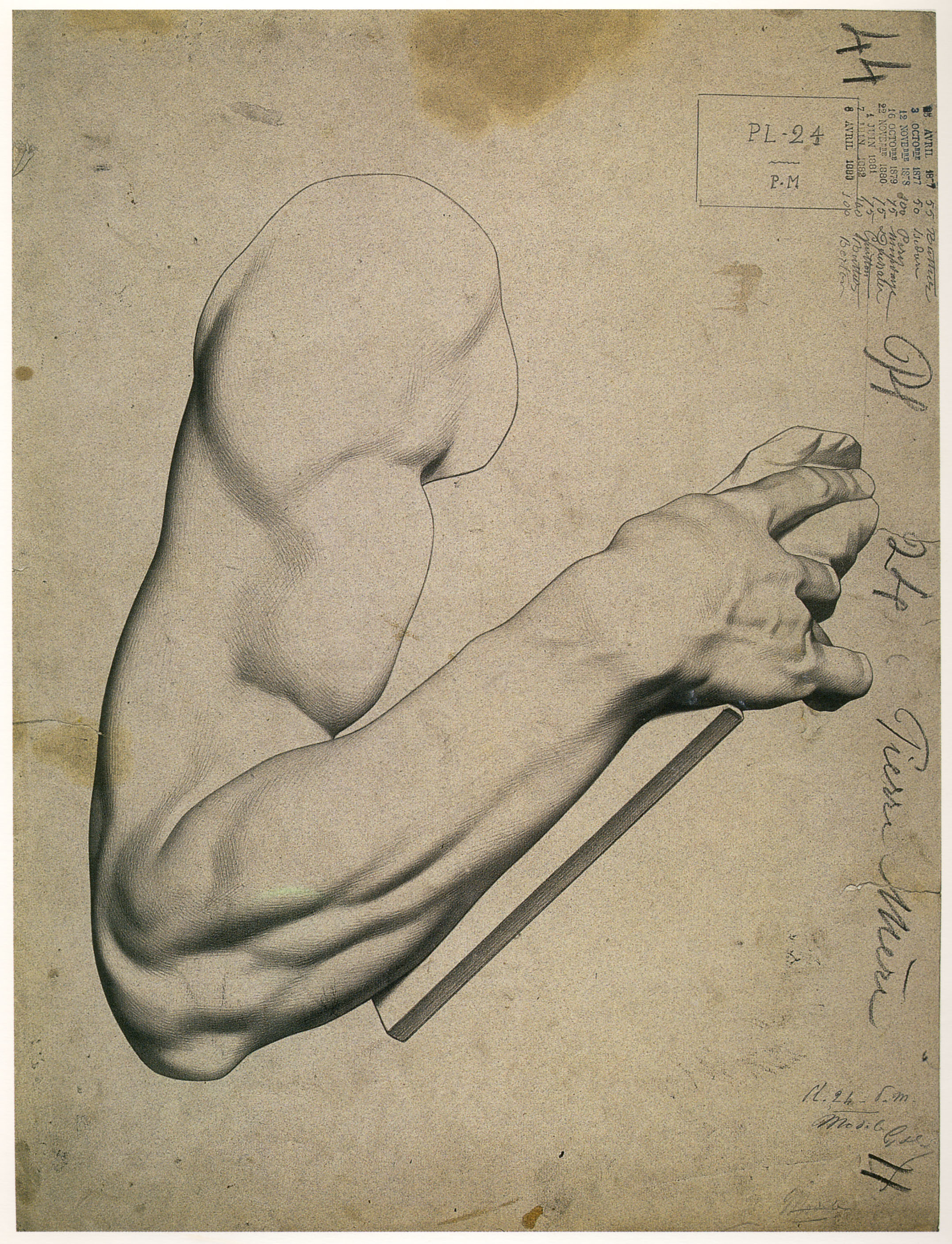 Plate I,24 - Arm of moses, by Michelangelo