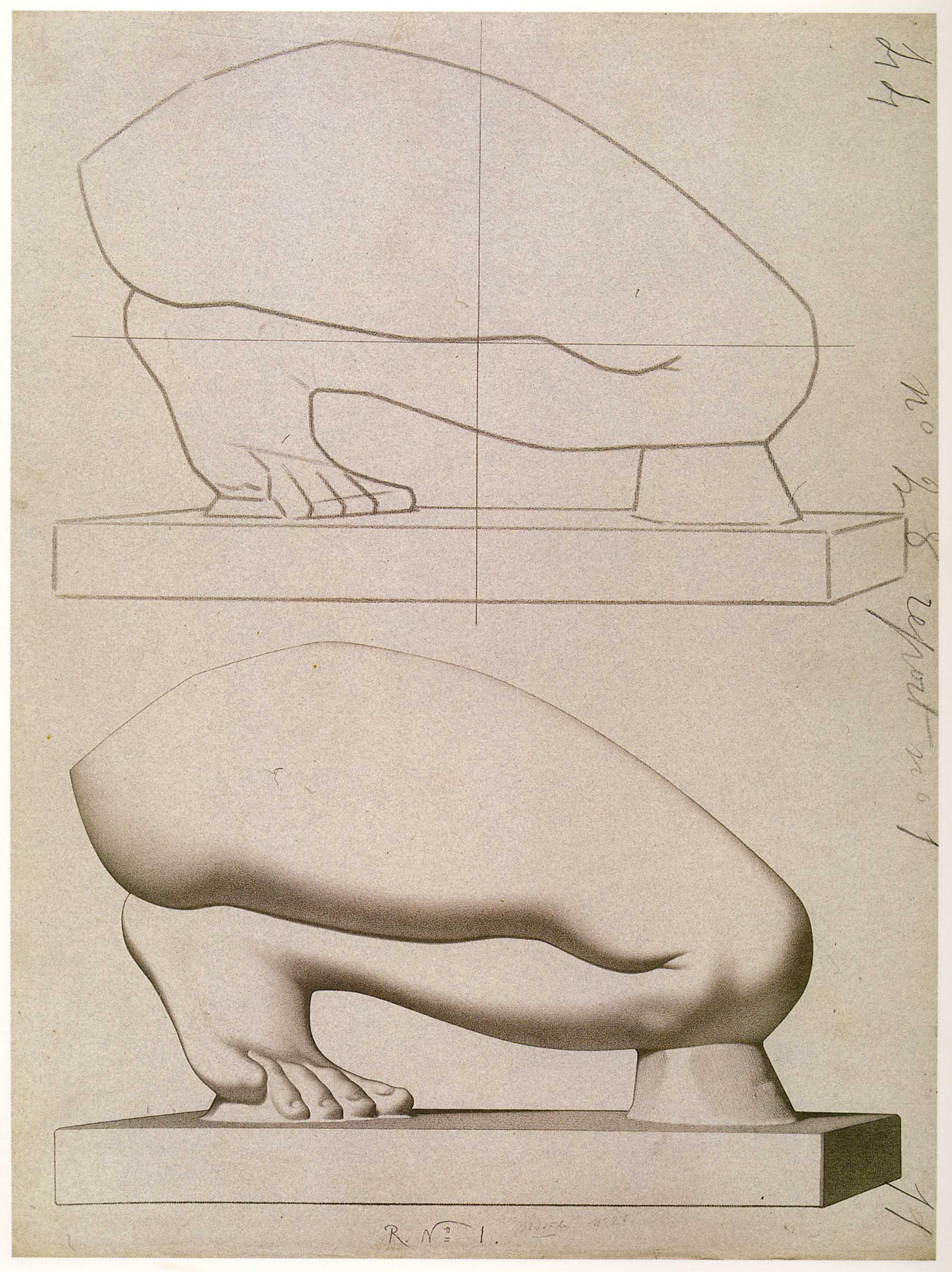 Plate I,28 - Leg of the Crouching Venus