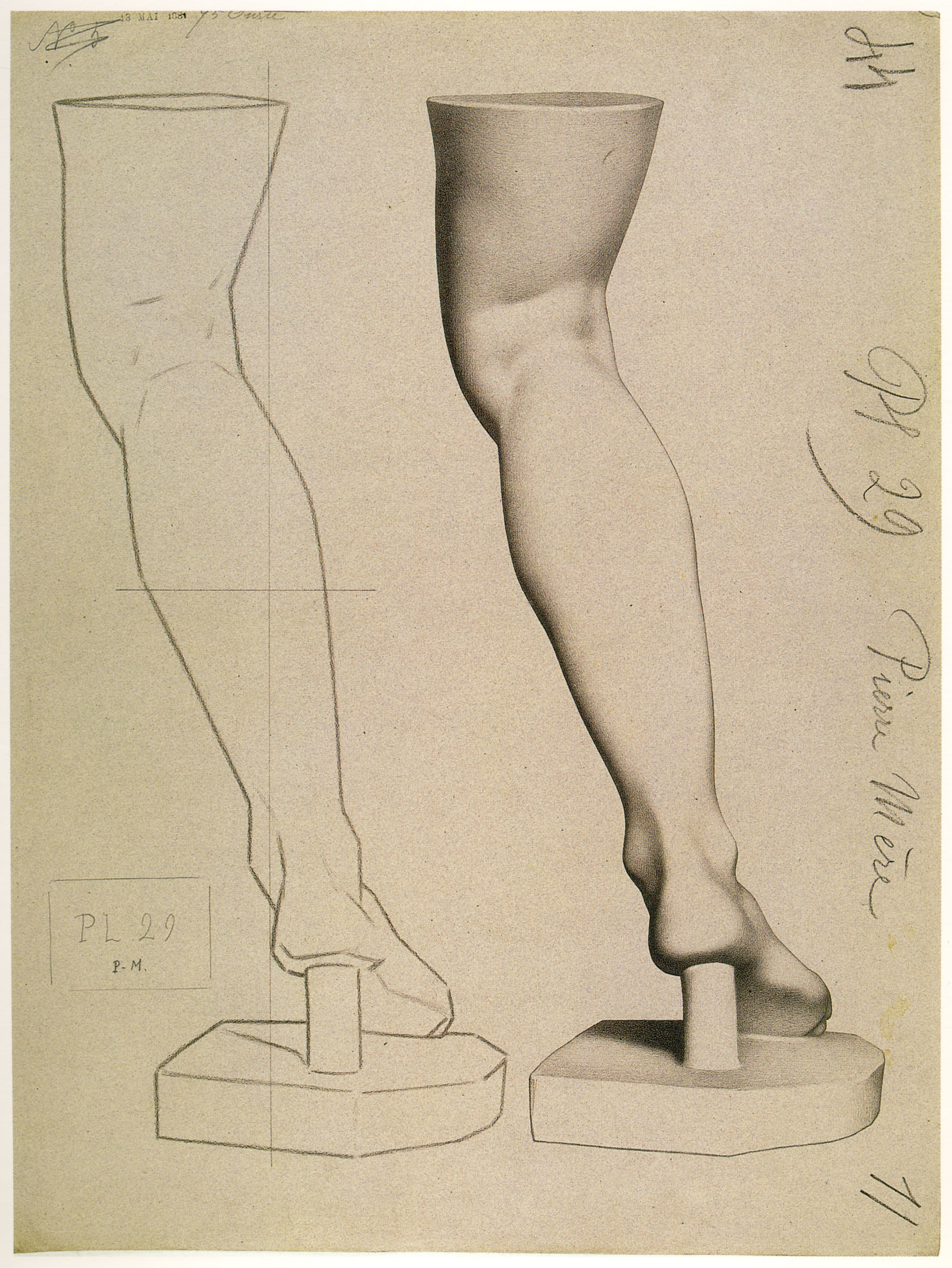 Plate I,29 - Leg of the Venus de Medici