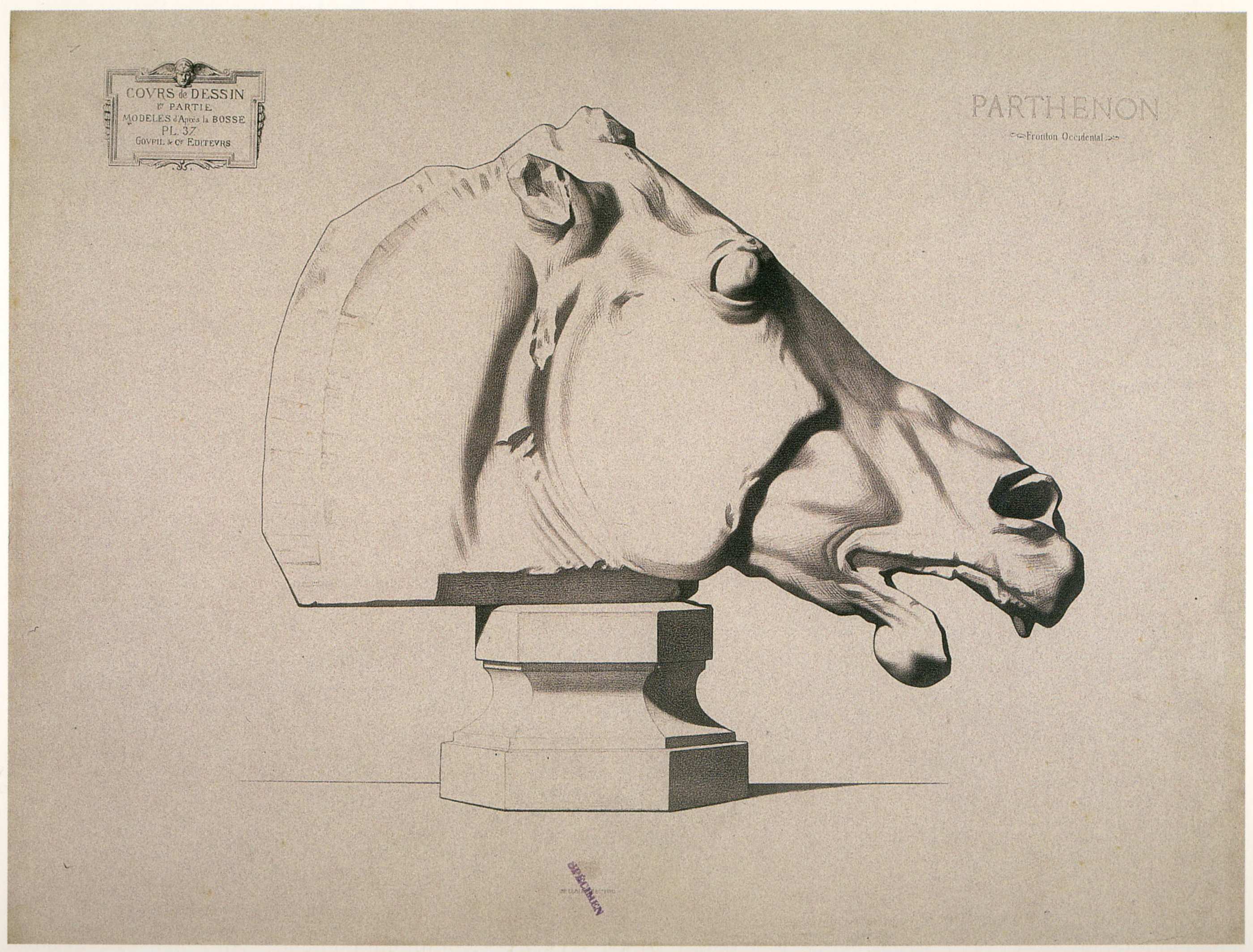 Plate I,37 - Head of a horse, Parthenon