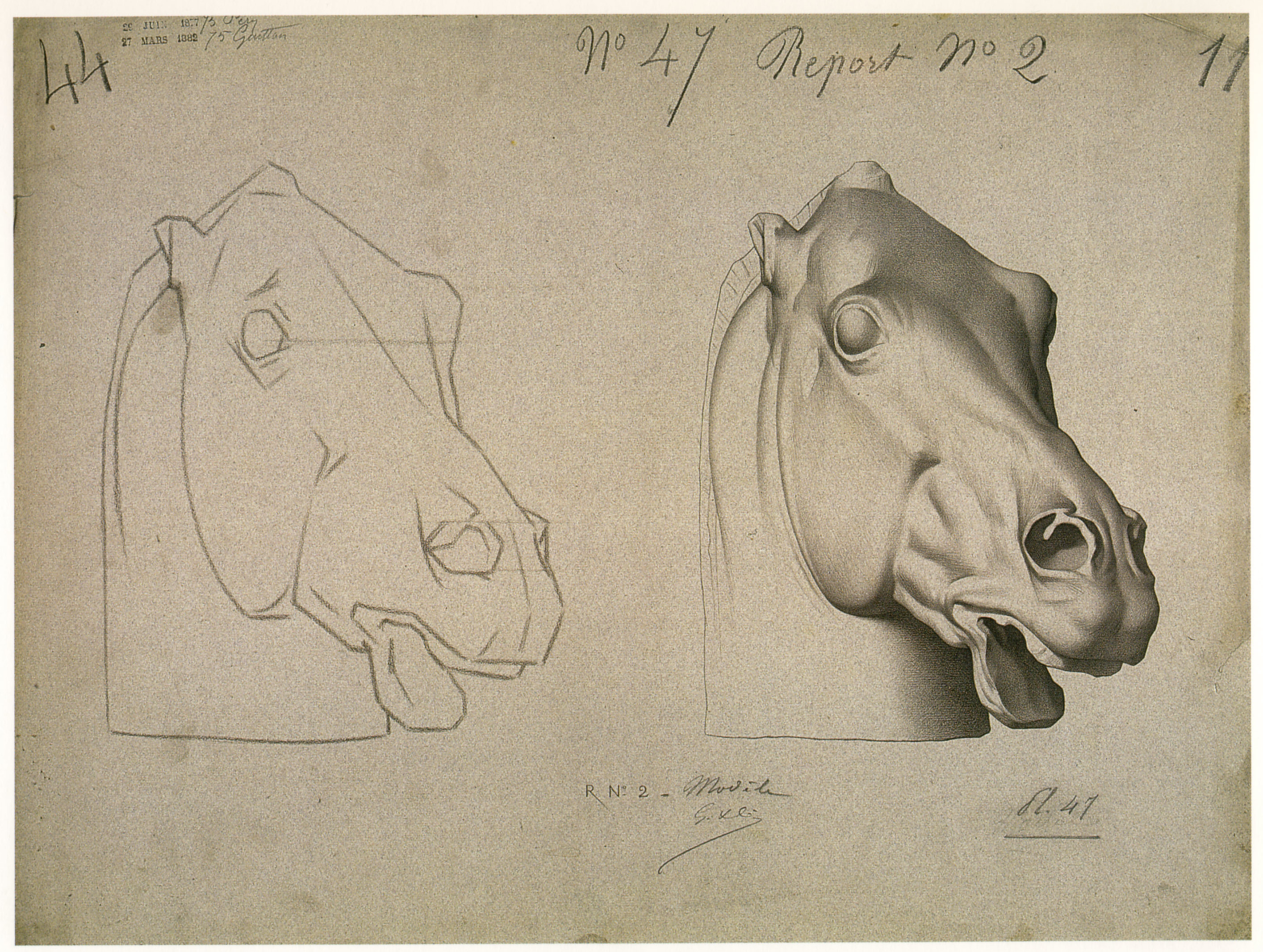 Plate I,47 - Head of a horse