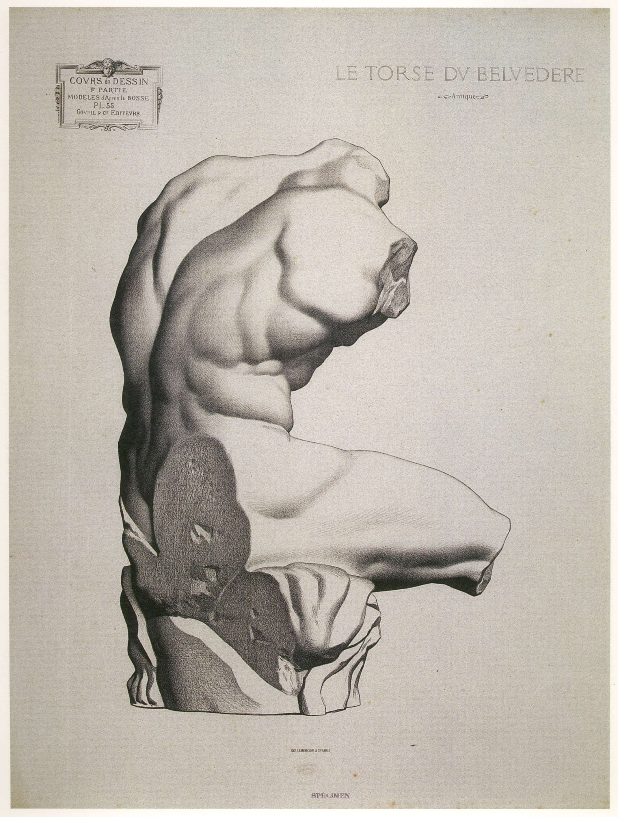 Plate I,55 - Belvedere Torso, rear view