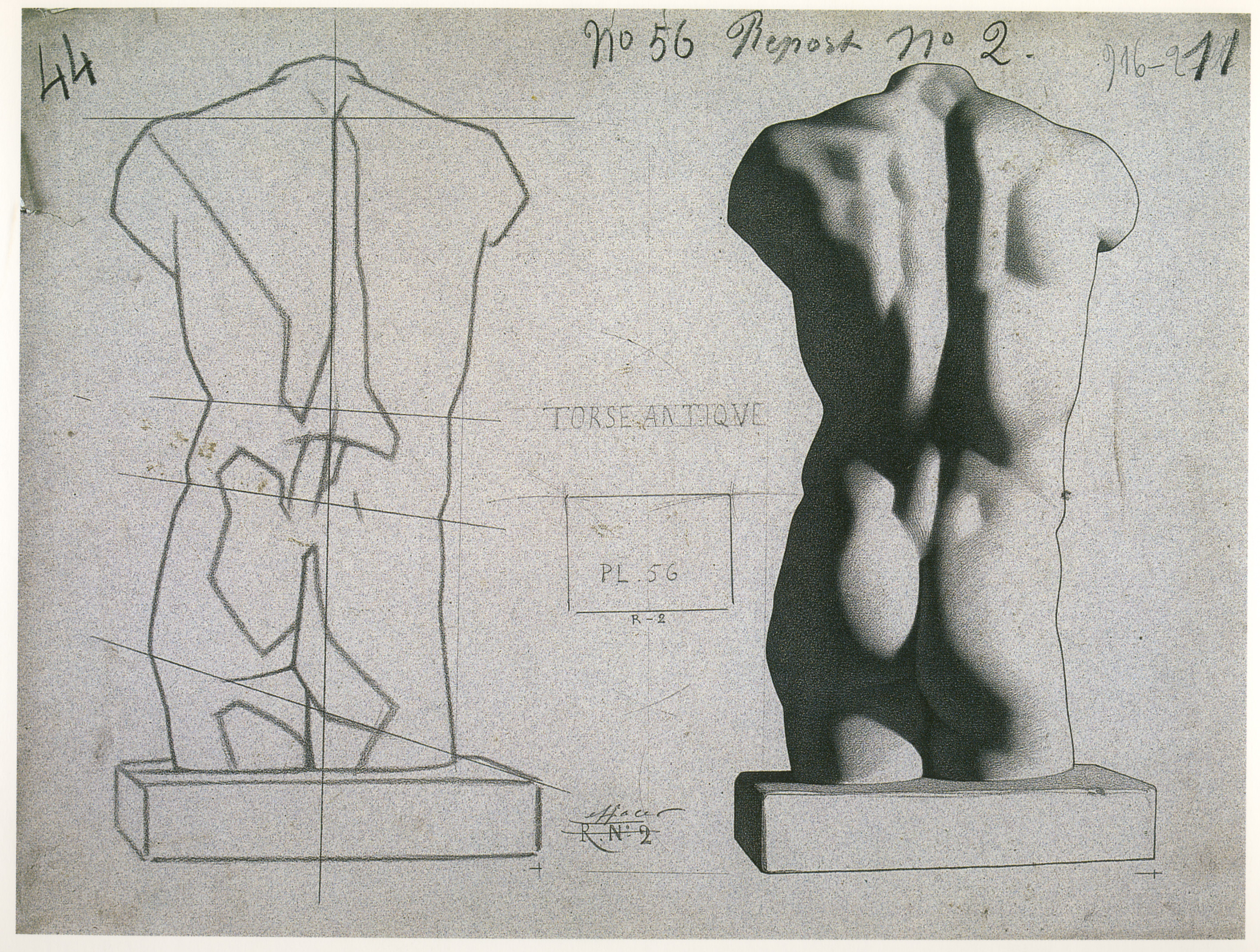 Plate I,56 - Male torso, back view