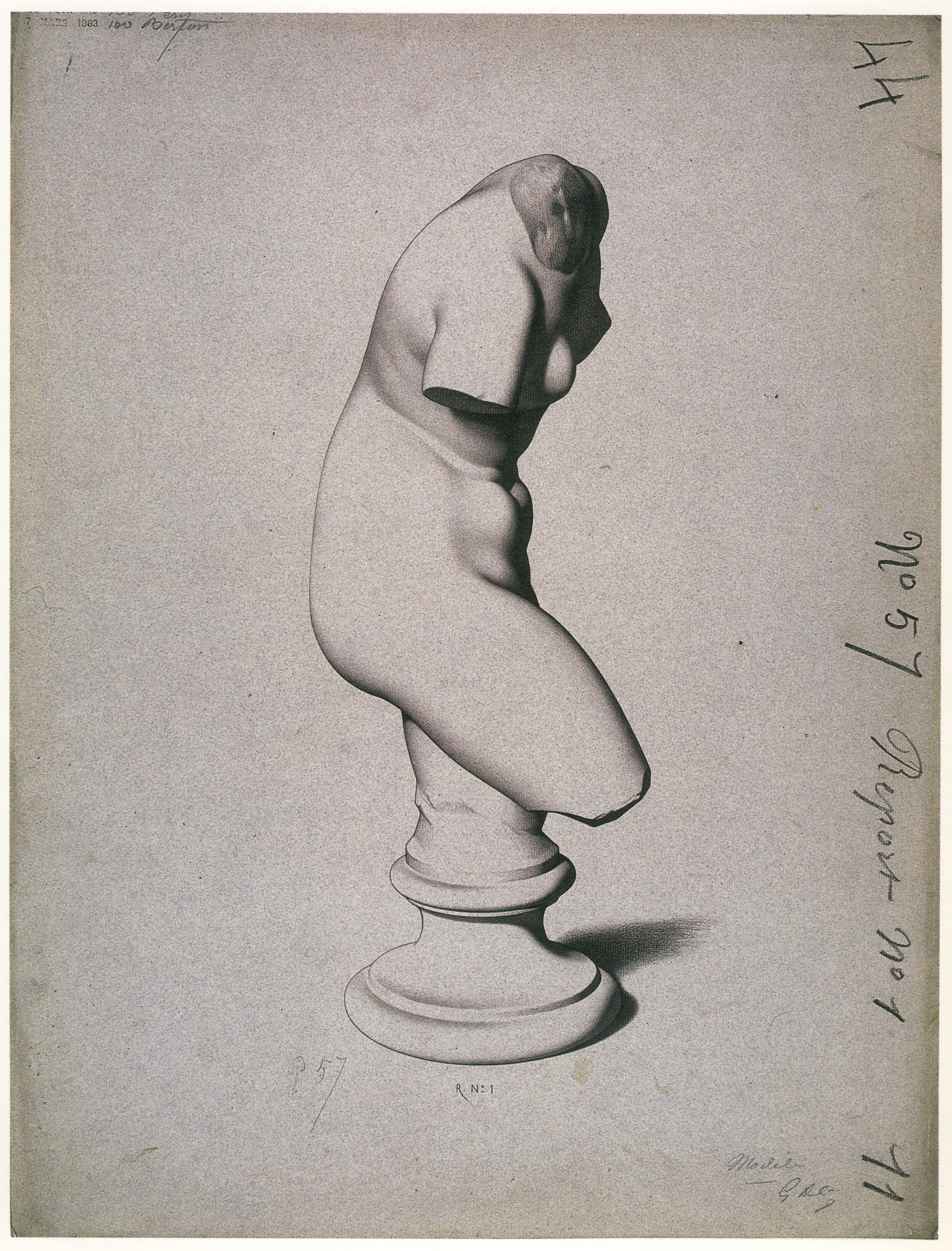 Plate I,57 - Female torso, three-quarter view