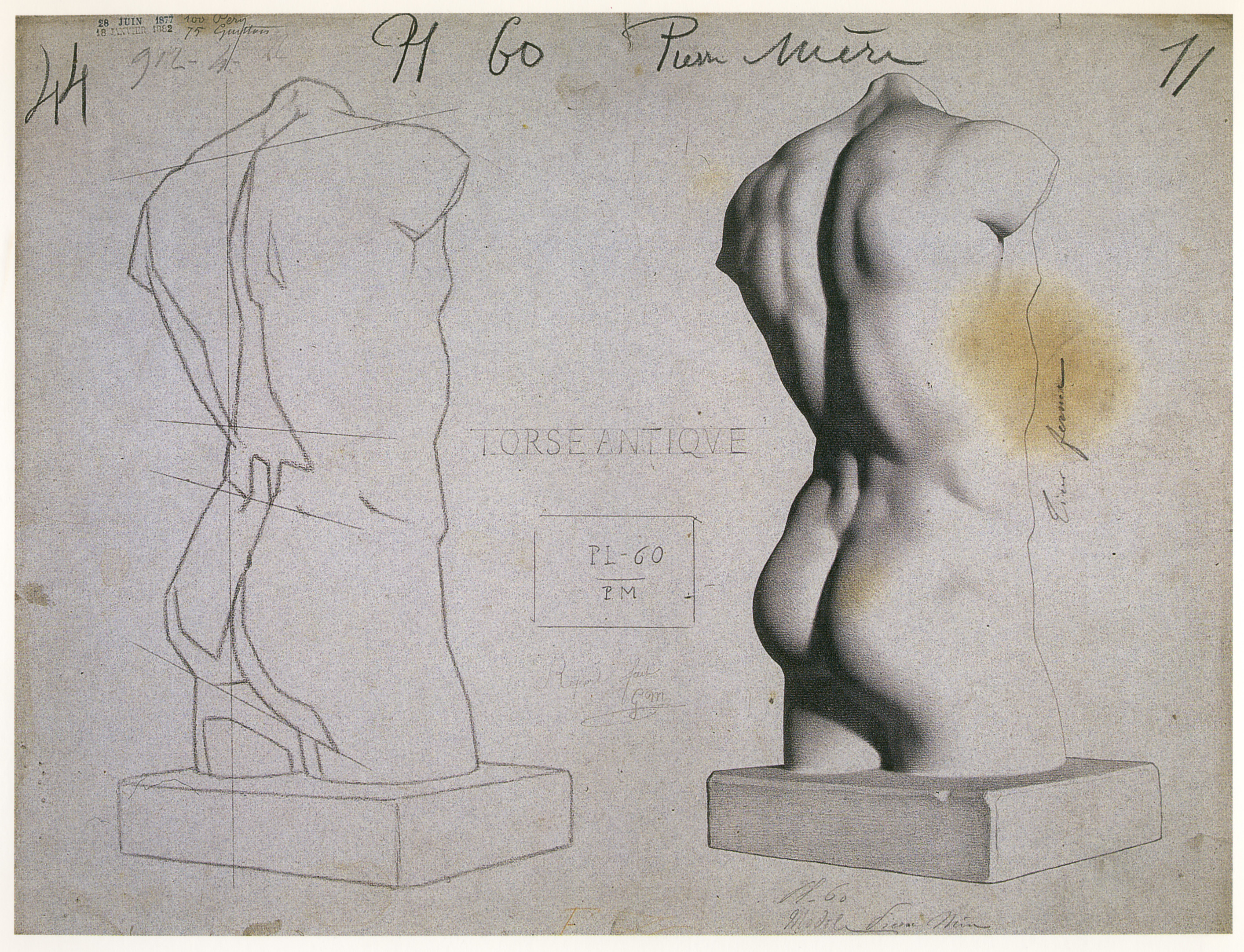 Plate I,60 - Male torso, three-quarter view